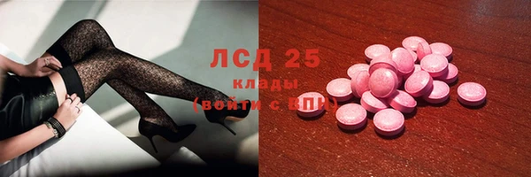 прущие грибы Аркадак