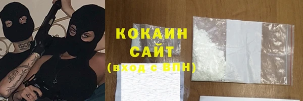 прущие грибы Аркадак