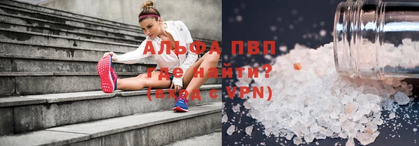 прущие грибы Аркадак