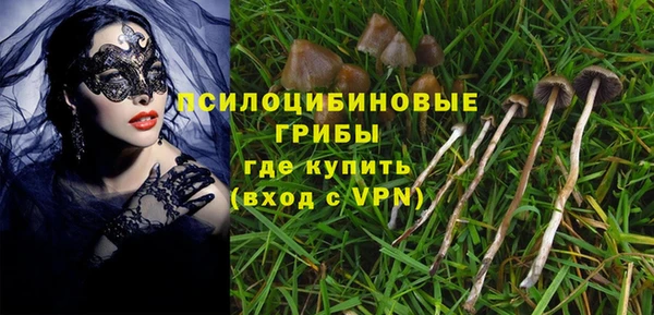 сатива Баксан